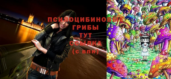 стаф Приозерск