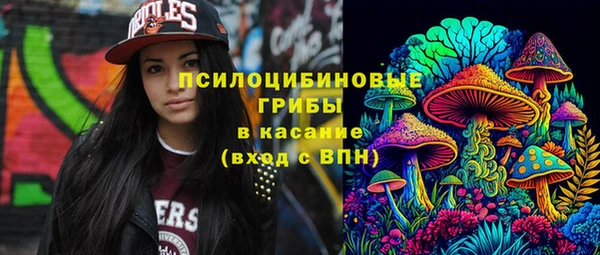 ГАЛЛЮЦИНОГЕННЫЕ ГРИБЫ Балахна