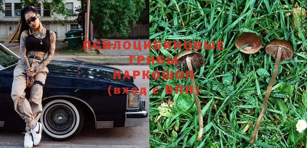 ГАЛЛЮЦИНОГЕННЫЕ ГРИБЫ Балахна