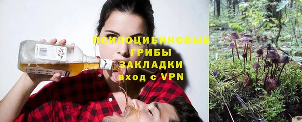 стафф Баксан