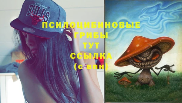 альфа пвп Протвино