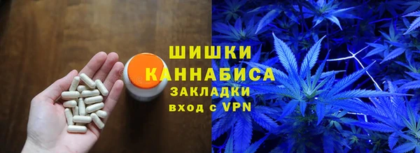 ГАЛЛЮЦИНОГЕННЫЕ ГРИБЫ Балахна